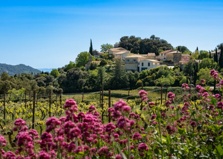 10 idées de roadtrip en Europe par Pause Solaire